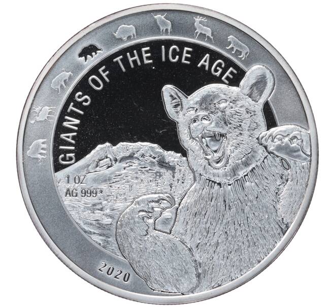 Монета 5 седи 2020 года Гана «Гиганты Ледникового периода — Пещерный медведь» (Артикул: M2-48493) — Фото №1