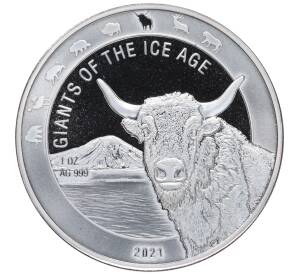 5 седи 2021 года Гана «Гиганты ледникового периода — Зубр» — Фото №1