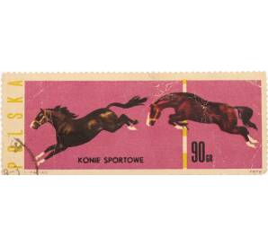 Почтовая марка 90 грошей 1963 года Польша «Спортивные лошади» — Фото №1