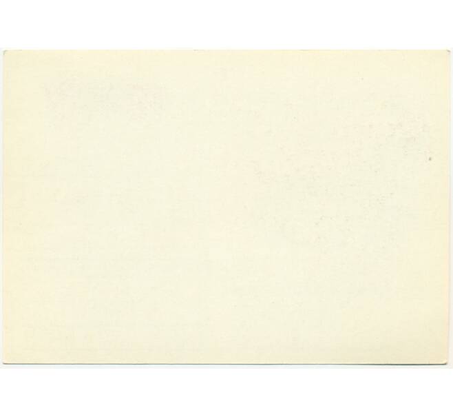 Почтовая открытка 1980 года «Стадион имени Сергея Мироновича Кирова» (Артикул: K10-6678) — Фото №2