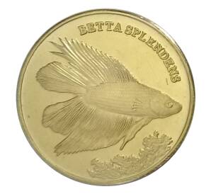 5 рупий 2016 года Провинция Малуку (Индонезия) — Бойцовая рыбка — Фото №1