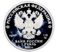 Монета 1 рубль 2021 года СПМД «Вооруженные Силы — Инженерные войска (Сапер с миноискателем)» (Артикул: K12-70962) — Фото №2