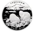 Монета 100 рублей 2008 года СПМД «Сохраним наш мир — Речной бобр» (Артикул: M1-65291) — Фото №1