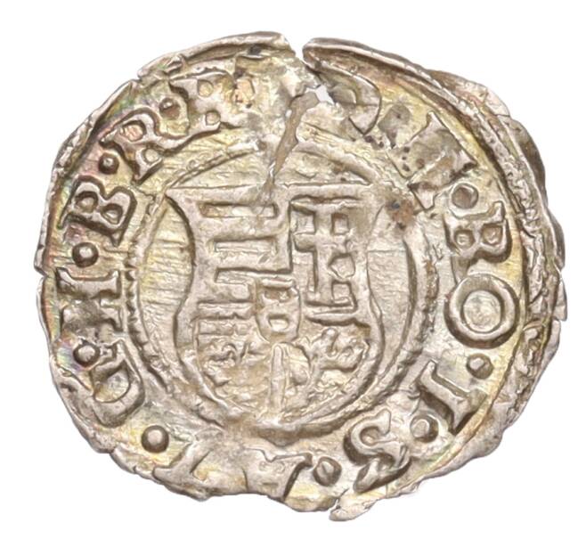 Монета 1 денар 1580-1599 года Венгрия (Артикул: K4-0870) — Фото №2