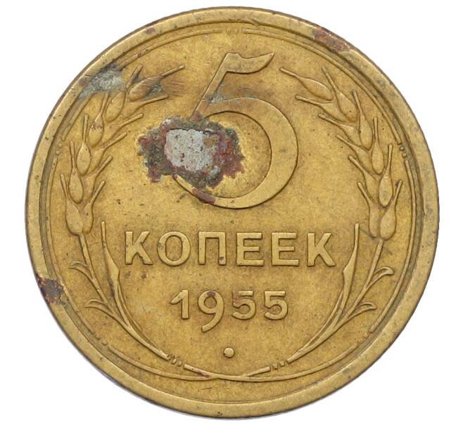 Монета 5 копеек 1955 года (Артикул: K12-71268) — Фото №1