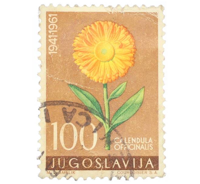 Почтовая марка 100 динаров 1961 года Югославия «Календула лекарственная» (Артикул: P2-0514) — Фото №1