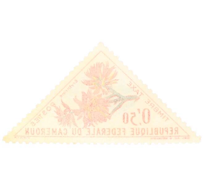 Почтовая марка 0.5 франка 1963 года Камерун «Эритрина» (Артикул: P2-0589) — Фото №2