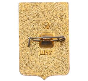 Значок «Герб города Пушкино» — Фото №2