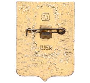 Значок «Герб города Ачинск» — Фото №2