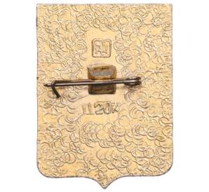 Значок «Герб города Оргеев» — Фото №2