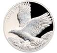 Монета 1 доллар 2025 года Самоа «Беркут» (Артикул: M2-90852) — Фото №1