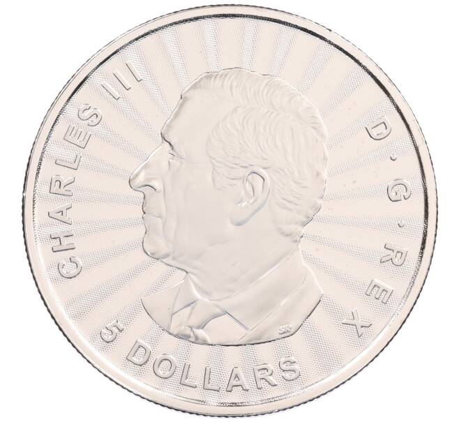 Монета 5 долларов 2025 года Канада «Величественный белый медведь» (в блистере) (Артикул: M2-90855) — Фото №2