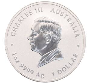 1 доллар 2025 года Австралия «225-летие австралийской прокламации — Колонный доллар» — Фото №2