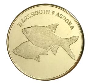 5 рупий 2019 года Провинция Малуку (Индонезия) — Расбора гетероморфа — Фото №1