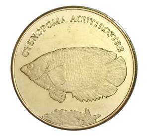 5 рупий 2019 года Провинция Малуку (Индонезия) — Ктенопома леопардовая — Фото №1