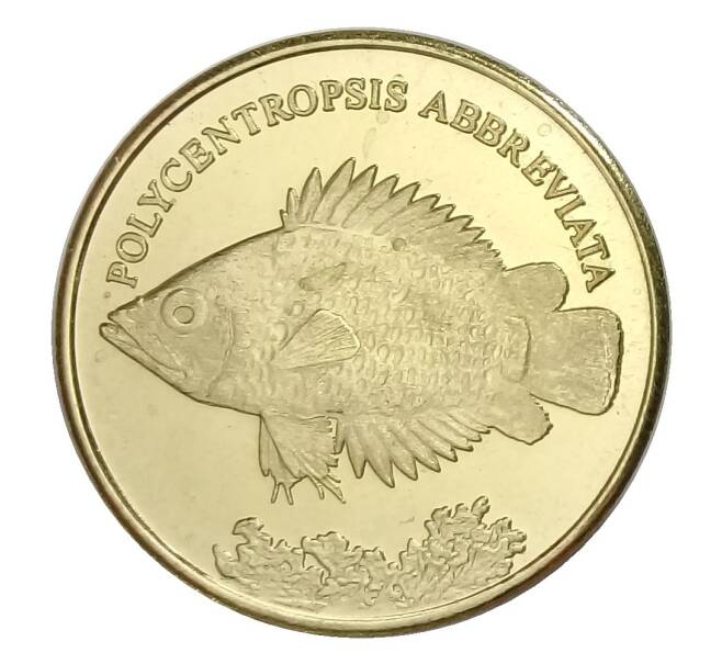 Монета 5 рупий 2019 года Провинция Малуку (Индонезия) — Африканский многоключник (Артикул: M2-33328) — Фото №1