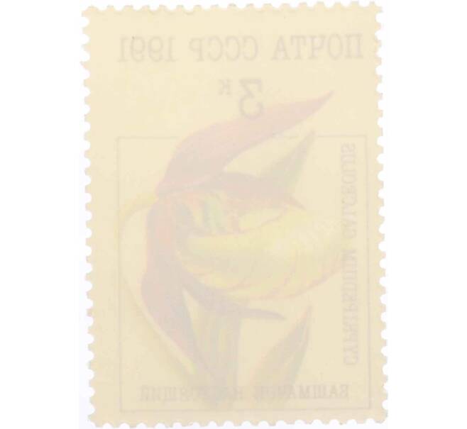 Почтовая марка 3 копейки 1991 года «Орхидеи — Башмачок настоящий» (Артикул: K10-8779) — Фото №2