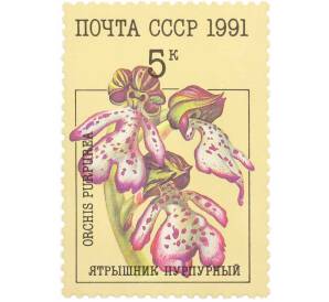 Почтовая марка 5 копеек 1991 года «Орхидеи — Ятрышник пурпурный» — Фото №1