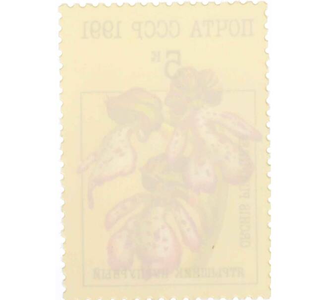 Почтовая марка 5 копеек 1991 года «Орхидеи — Ятрышник пурпурный» (Артикул: K10-8780) — Фото №2