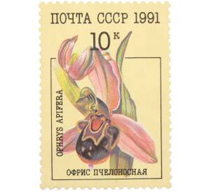 Почтовая марка 10 копеек 1991 года «Орхидеи — Офрис пчелоносная» — Фото №1