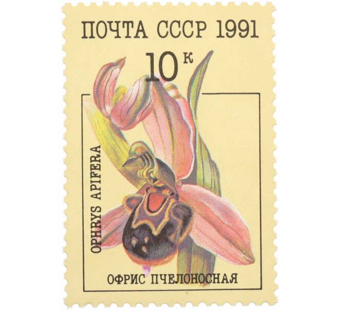 Почтовая марка 10 копеек 1991 года «Орхидеи — Офрис пчелоносная» (Артикул: K10-8781) — Фото №1