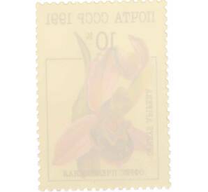 Почтовая марка 10 копеек 1991 года «Орхидеи — Офрис пчелоносная» — Фото №2