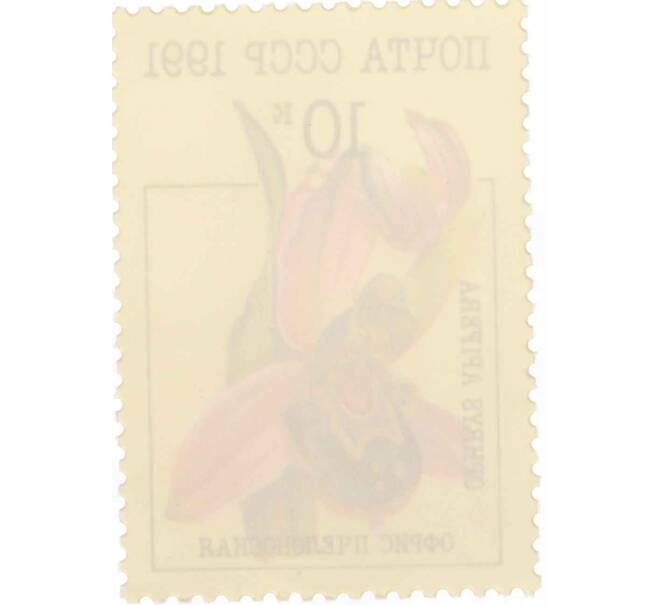 Почтовая марка 10 копеек 1991 года «Орхидеи — Офрис пчелоносная» (Артикул: K10-8781) — Фото №2