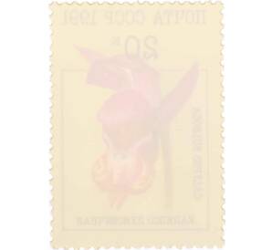 Почтовая марка 20 копеек 1991 года «Орхидеи — Калипсо луковичная» — Фото №2