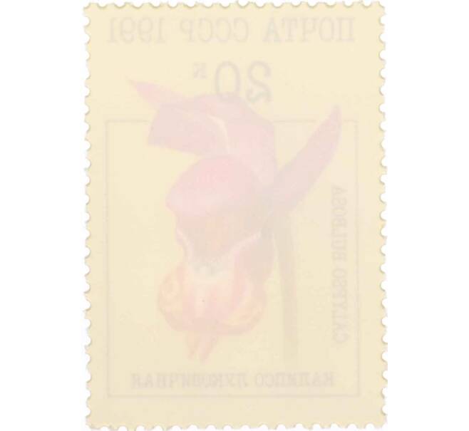 Почтовая марка 20 копеек 1991 года «Орхидеи — Калипсо луковичная» (Артикул: K10-8782) — Фото №2