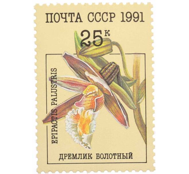 Почтовая марка 25 копеек 1991 года «Орхидеи — Дремлик болотный» (Артикул: K10-8783) — Фото №1