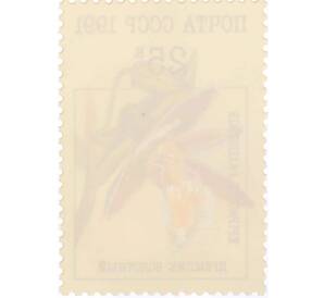 Почтовая марка 25 копеек 1991 года «Орхидеи — Дремлик болотный» — Фото №2