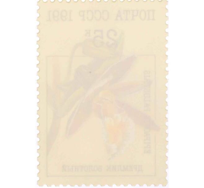 Почтовая марка 25 копеек 1991 года «Орхидеи — Дремлик болотный» (Артикул: K10-8783) — Фото №2