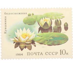Почтовая марка 10 копеек 1984 года «Водные растения — Белоснежная кувшинка» — Фото №1