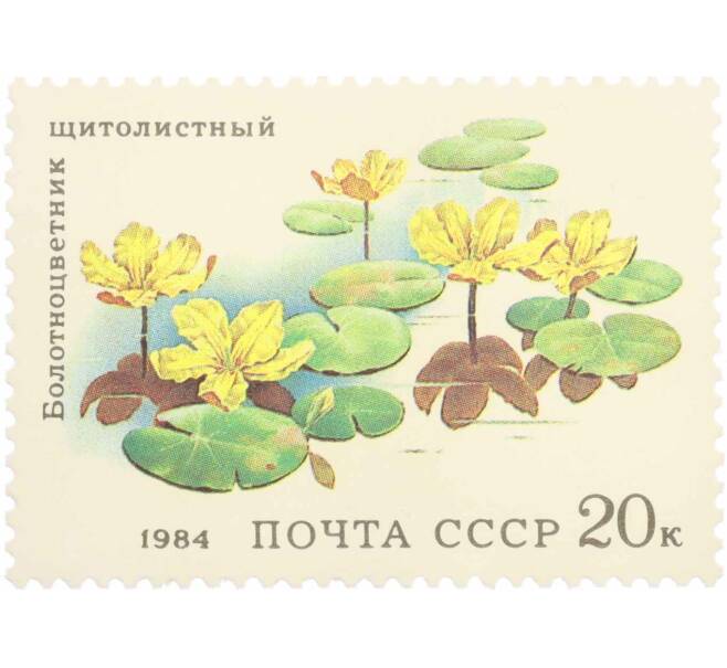 Почтовая марка 20 копеек 1984 года «Водные растения — Щитолистный болотноцветник» (Артикул: K10-8787) — Фото №1