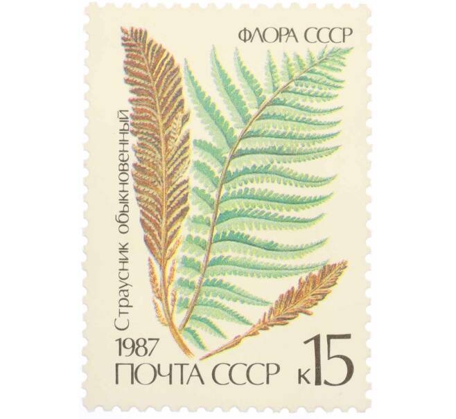 Почтовая марка 15 копеек 1987 года «Флора папоротники — Страусник обыкновенный» (Артикул: K10-8789) — Фото №1