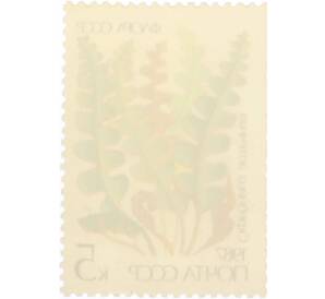 Почтовая марка 5 копеек 1987 года «Флора папоротники — Скребница аптечная» — Фото №2