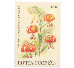 Почтовая марка 20 копеек 1988 года «Цветы широколиственных лесов — Лилия кудреватая» — Фото №1