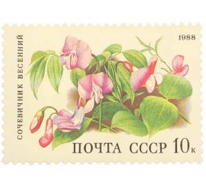 Почтовая марка 10 копеек 1988 года «Цветы широколиственных лесов — Сочевичник весенний» — Фото №1