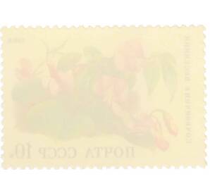 Почтовая марка 10 копеек 1988 года «Цветы широколиственных лесов — Сочевичник весенний» — Фото №2