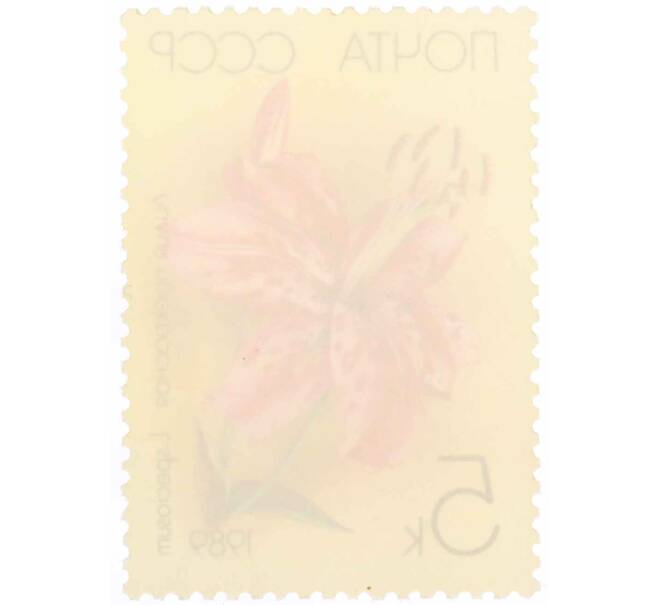 Почтовая марка 5 копеек 1989 года «Садовые лилии — Прекрасная» (Артикул: K10-8799) — Фото №2