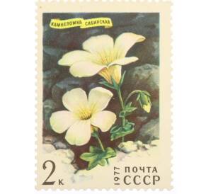 Почтовая марка 2 копейки 1977 года «Цветы гор Сибири — Камнеломка сибирская» — Фото №1