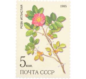 Почтовая марка 5 копеек 1985 года «Лекарственные растения Сибири — Иглистая роза» — Фото №1