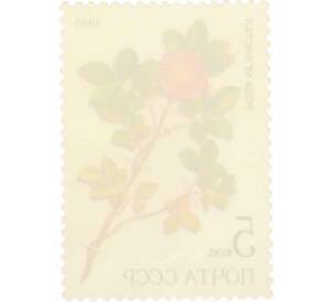 Почтовая марка 5 копеек 1985 года «Лекарственные растения Сибири — Иглистая роза» — Фото №2