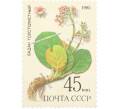 Почтовая марка 45 копеек 1985 года «Лекарственные растения Сибири — Толстолистный бадан» (Артикул: K10-8811) — Фото №1