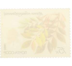 Почтовая марка 15 копеек 1980 года «Охраняемые породы деревьев и кустарников — Обыкновенный ясень» — Фото №2