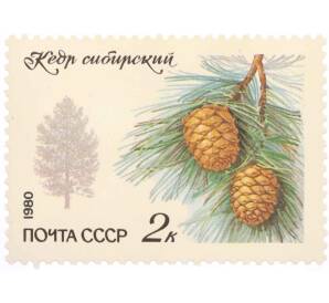 Почтовая марка 2 копейки 1980 года «Охраняемые породы деревьев и кустарников — Сибирский кедр» — Фото №1