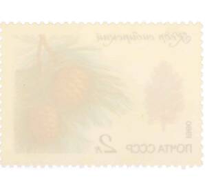 Почтовая марка 2 копейки 1980 года «Охраняемые породы деревьев и кустарников — Сибирский кедр» — Фото №2