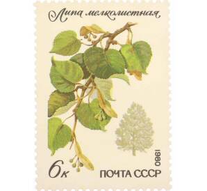 Почтовая марка 6 копеек 1980 года «Охраняемые породы деревьев и кустарников — Мелколистная липа» — Фото №1