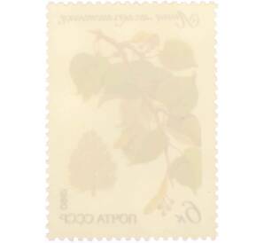 Почтовая марка 6 копеек 1980 года «Охраняемые породы деревьев и кустарников — Мелколистная липа» — Фото №2