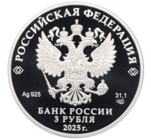 3 рубля 2025 года СПМД «100 лет Всероссийскому обществу слепых» (в буклете) — Фото №2